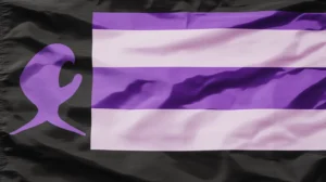 Butch Lesbian Flag